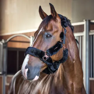 Catago Sheepskin Headcollar - Black/Rose Gold