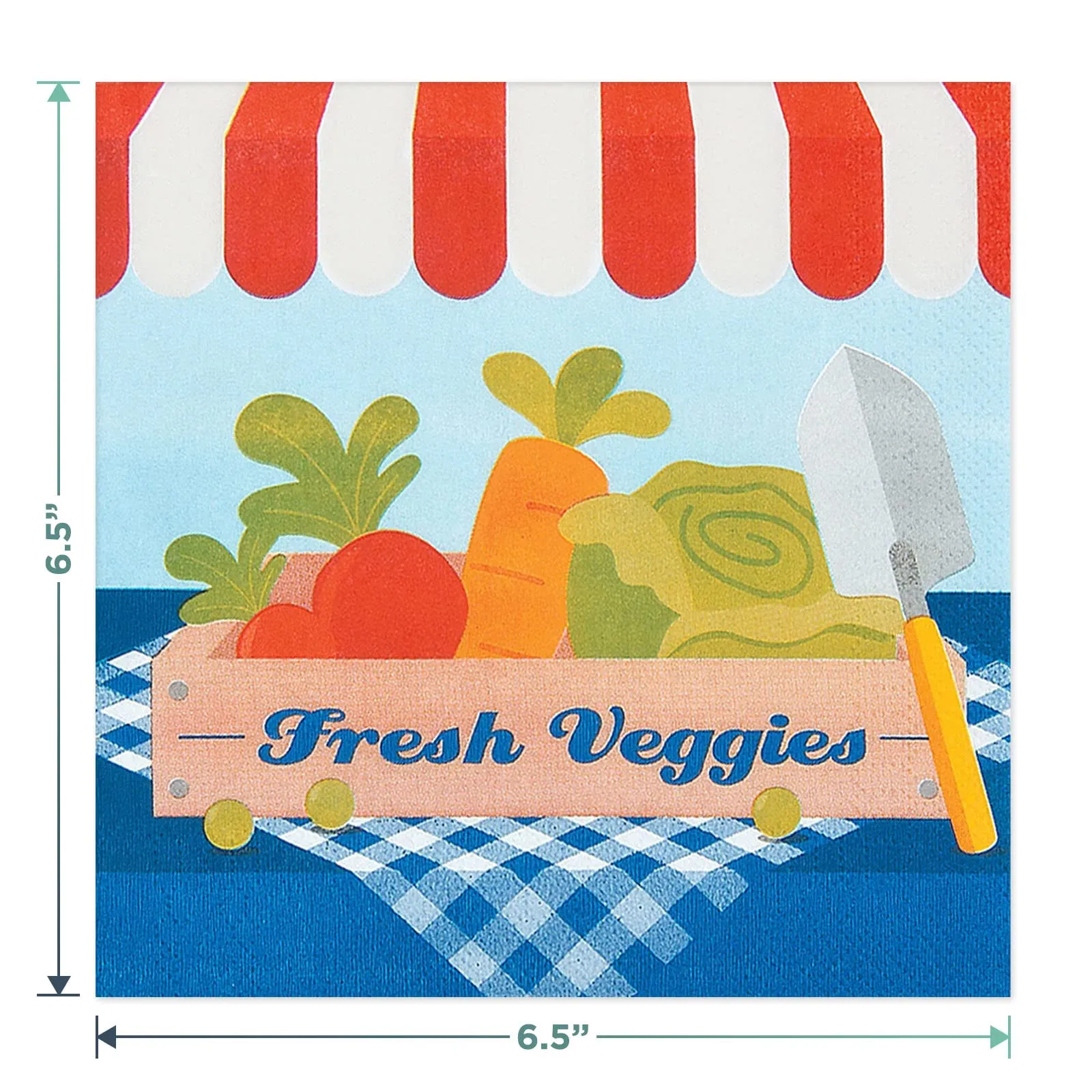 Farmer's Market Garden Party Flowers and Veggies Paper Dessert Plates, Napkins, and Table Cover (Serves 16)