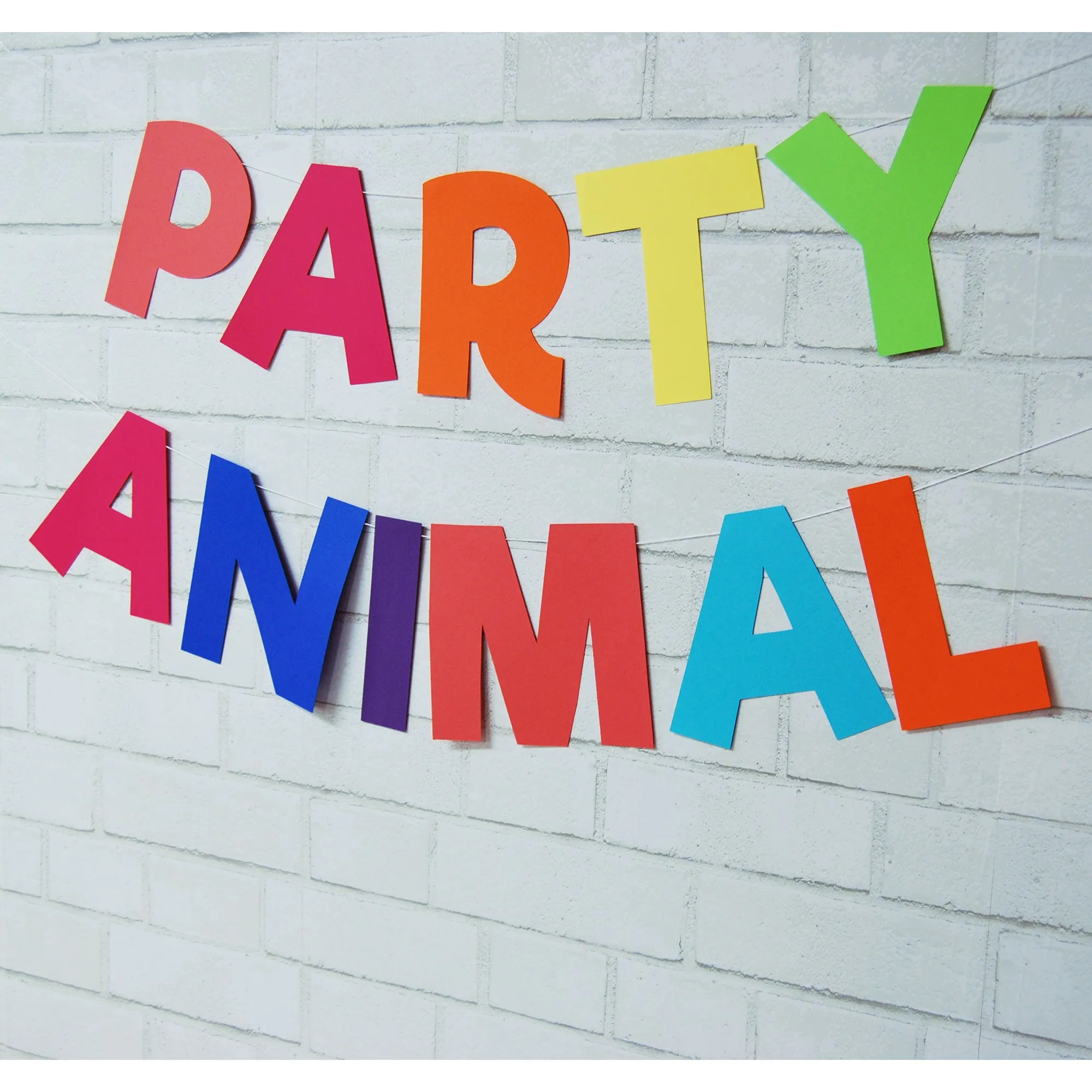 Party Animal Banner