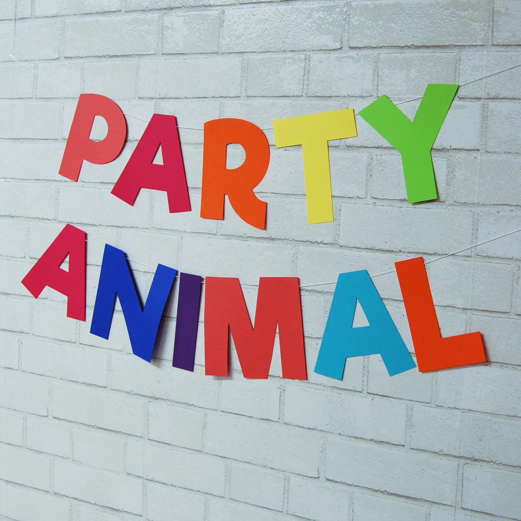 Party Animal Banner